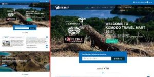 jasa pemmbuatan website (21)