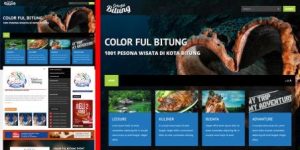 jasa pemmbuatan website (7)